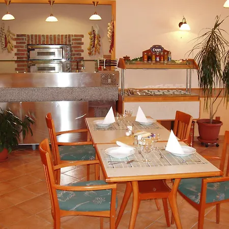 Hotel Altenberg Staré Hory